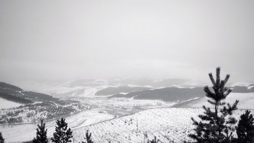 Scenic view of snow field against clear sky