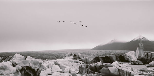 Flock of birds flying over sea against sky