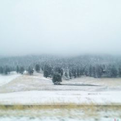 Scenic view of snow covered landscape