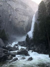Scenic view of waterfall in forest