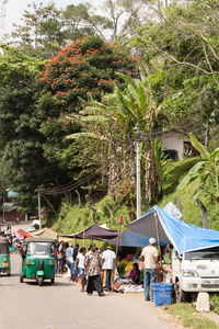 View of trees