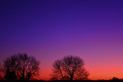 Silhouette trees against sky during sunset