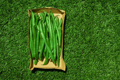 High angle view of fresh green beans in box on grass