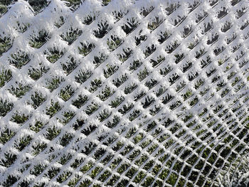 Full frame shot of pattern