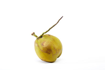 Close-up of apple against white background