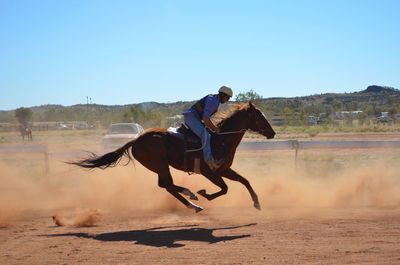 Side view of man riding horse on field against clear blue sky