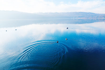 Blue water lake with birds . morning on the city lake