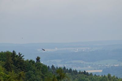 View of birds flying over the lake