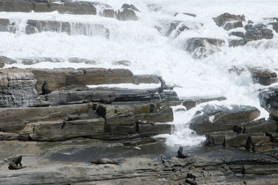 Waves splashing on rocks at shore