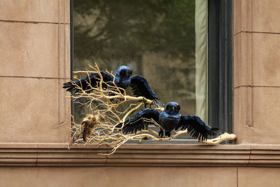 Halloween decoration of a blue owl in a nest on a window. halloween concept.