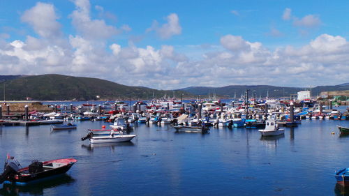 Boats in harbor