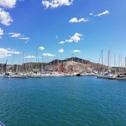 Sailboats moored at harbor against sky