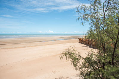 Scenic view of beach against sky