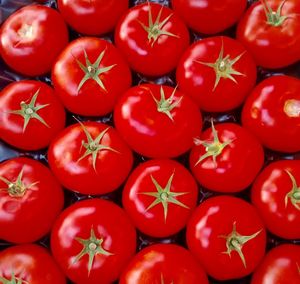 Full frame shot of tomatoes