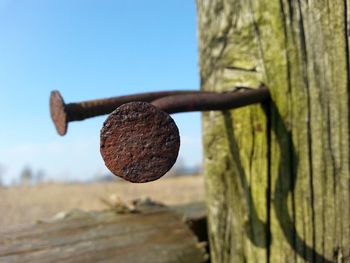 Close-up of rusty wood against trees against clear sky