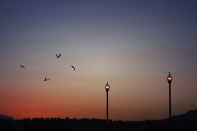 Low angle view of silhouette birds flying against sky during sunset