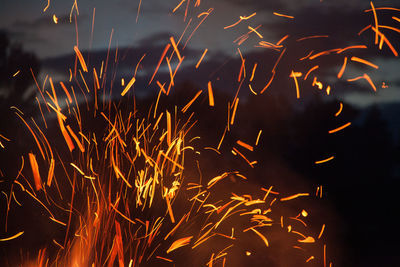 Close-up of firework display at night