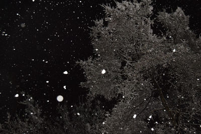 View of moon against sky at night