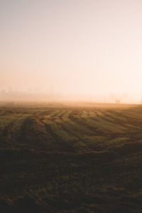 Scenic view of field against clear sky