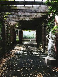 Statue against trees