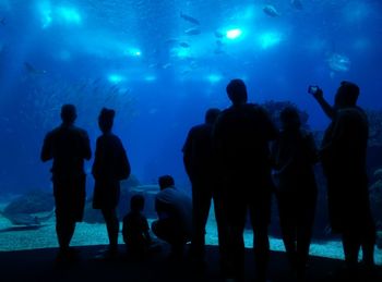 Silhouette people at aquarium