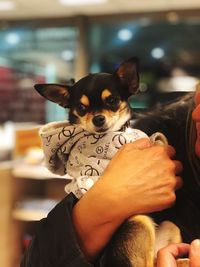 Portrait of woman holding small dog