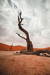 Scenic view of desert against cloudy sky