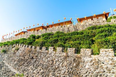 Low angle view of plants against building