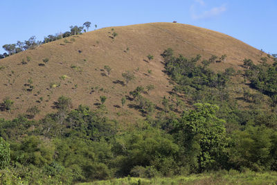 Scenic view of landscape against clear sky