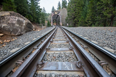 Railroad tracks amidst trees