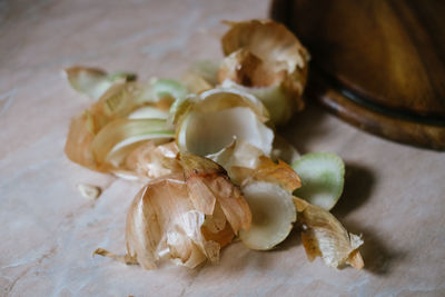 High angle view of garlic in plate on table