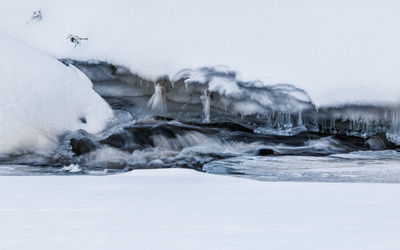 Frozen trees against sky during winter