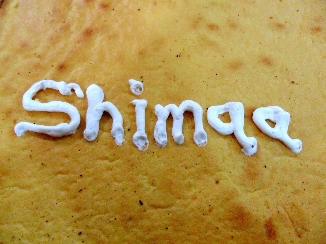 CLOSE-UP OF TEXT WRITTEN ON A WOODEN SURFACE