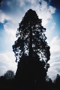 Low angle view of trees against cloudy sky