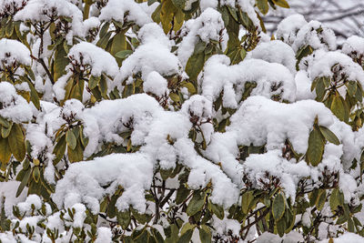 Full frame shot of snow