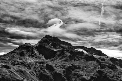 Seagull perching on mountain against sea