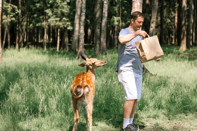 A man feeding cute spotted deer bambi  in the forest