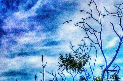 Low angle view of bare trees against cloudy sky