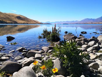 Scenic view of lake against sky