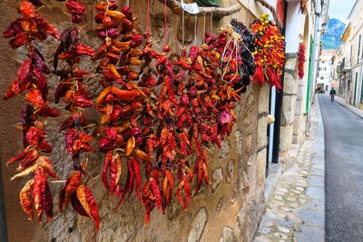 Red chili peppers on footpath