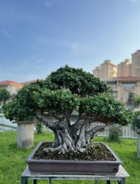 Close-up of fountain