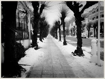 Footpath amidst trees and buildings in city