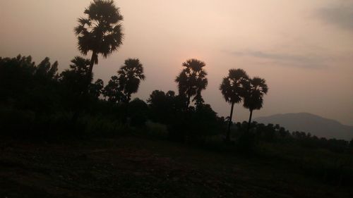 Silhouette trees on landscape against sky at sunset