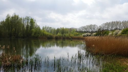 Scenic view of lake against sky