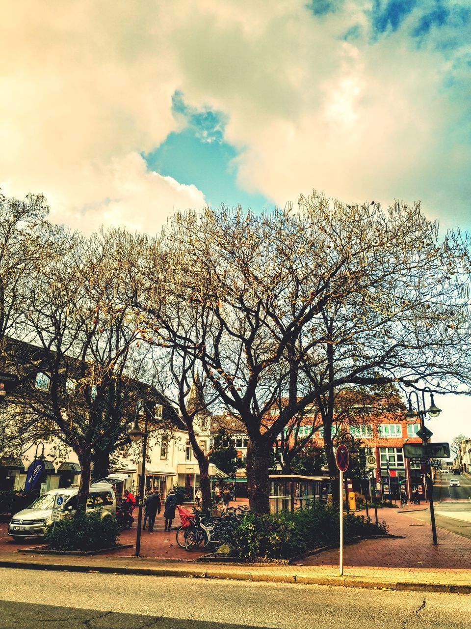 STREET BY TREES AGAINST SKY IN CITY