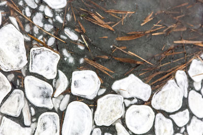 soil