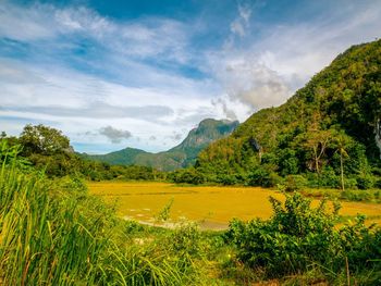 Scenic view of field against sky