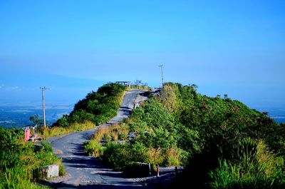 Street amidst trees against blue sky