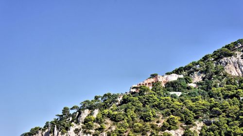 Low angle view of trees against clear blue sky