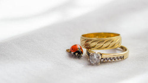 Close-up of ladybug by ring on table